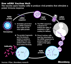 Working to deliver on the promise of mrna science to create a new class of transformative medicines for patients. Moderna Mrna Vaccine Is Found Highly Effective At Preventing Covid 19 Bloomberg
