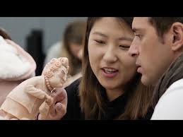 MCAD MFA Open Studio Night Virtual Tour 2020