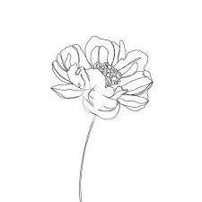 Pin On Drawings