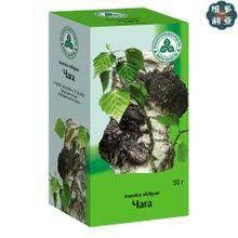 俄罗斯白桦茸桦褐孔菌chaga plants yara