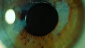 Do Professional Slow Motion With Twixtor By Lucidaps Twixtor pro — лучший плагин для замедления видео, который позволяет увеличивать количество кадров в секунду видеоряда почти без потери качества. fiverr
