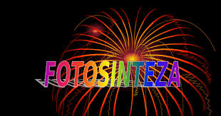Fotosinteza Cl X A Google Slides