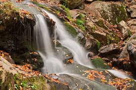 1920x1080 colorful waterfall wallpaper background image. Wallpaper Park Travel Autumn Red Orange Usa Brown White Motion Color Colour Green Fall Tourism Nature Water Colors Beautiful Beauty Leaves Yellow America Dark Landscape Flow Virginia Waterfall Movement Scenery Rocks