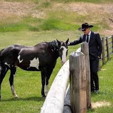 During the filming of Yellowstone, one of the most emotional moments for Kevin  Costner occurred when he had to say goodbye to his beloved horse, which had  become an integral part of