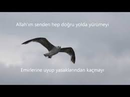 Peygamber Efendimizin S A S Allah Tan Istedigi Dort Sey Izleyiniz Animals