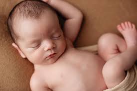 Happy Bird Photography