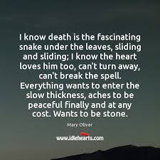 Choose from a wide range of similar scenes. Death Is A Camel That Lies Down At Every Door Idlehearts