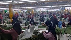Temukan lowongan kerja garmen tegal yang anda cari di bawah ini. Pabrik Garmen Dengan 2 000 Pekerja Ini Tetap Produksi Di Tengah Covid 19 Alasannya Bikin Terenyuh Tribun Jabar