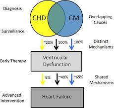 Heart Failure In Pediatric Patients With Congenital Heart Disease Circulation Research