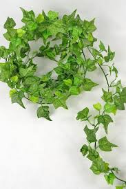4' english ivy topiary tree in white oval planter uv resistant (indoor/outdoor) $194.99. English Ivy Quotes Quotesgram