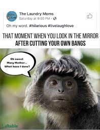 Pin On Hair Cut Memes
