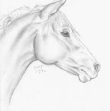 See more ideas about drawings, pencil drawings, pencil art drawings. Beautiful And Easy Drawings To Draw Of Horses 1000 Ideas About Horse Drawings On Pinterest Horse Art Horse Ph Horse Drawings Animal Drawings Horse Head Drawing