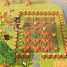 Top pumpkin super billig finden und mit vergleiche.de jetzt bis zu 57% sparen How To Grow Pumpkins In Animal Crossing New Horizons Polygon