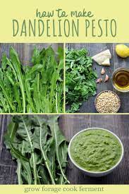 Dandelion Pesto Recipe Edible Flowers Recipes Dandelion Pesto Recipe Organic Recipes Healthy