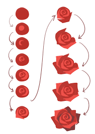 How To Draw Or Paint Simple Roses Cute And Easy Tutorial For Doodling Or Sketching These Beautiful Flowers Flower Drawing Flower Art Art Painting