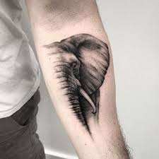 60 Best Elephant Tattoos Meanings Ideas And Designs Elephant Tattoos Elephant Tattoo Elephant Tattoo Design