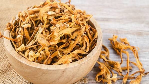 Cordyceps Militaris Mushroom