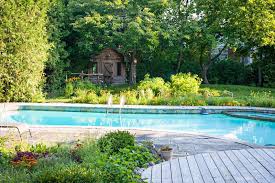 Quelles Plantes En Bord De Piscine Jardiner Malin