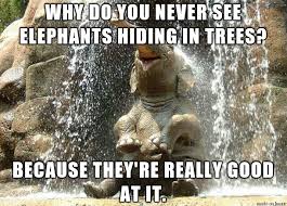 Why Do You Never See An Elephant Hiding In A Tree Google Search Cute Baby Elephant Elephant Pictures Happy Elephant