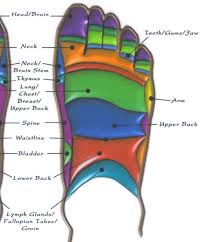 Top Of Foot Reflexology Reflexology Foot Reflexology