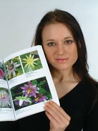 Passionflowers: Passiflora 'Becky Speed'