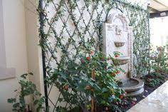 Check spelling or type a new query. 16 Best Trellis Against Wall Ideas Trellis Wall Trellis Garden Vines