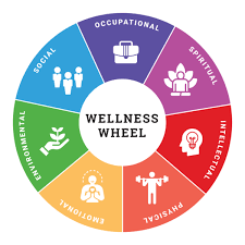 Recovery occurs via many pathways. What Is Whole Person Wellness And Why Is It Important