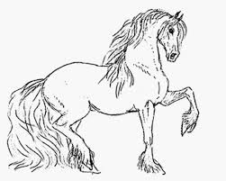 Mooi, groot en elegant paarden portret voor de paardenliefhebbers. Kleurplaten Manege Stal T Patersnest Een Kleinschalige Manege In Welsum