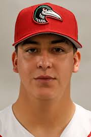 Joel Ibarra Stats, Age, Position, Height, Weight, Fantasy & News