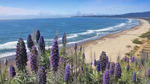 11 Best Beaches In California From Surfer Friendly To Cliffside Views Conde Nast Traveler