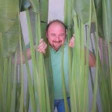 Image result for Pleurolobus tanganyikensis