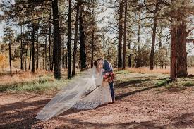 Tori and Lisa's Wedding in the Woods of Herber, Arizona