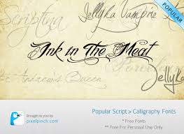 Version 1.00 july 27, 2008, initial release. 10 Most Popular Best Script Calligraphy Fonts Pixelpinch