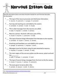 These messages travel through our nerves and inform our actions. Nervous System Quiz Worksheets
