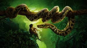 Mowli 2016 pelicula completa en español es uno de los libros de ccc revisados aquí. Ver El Libro De La Selva 2016 Online Repelis24 Peliculas Gratis