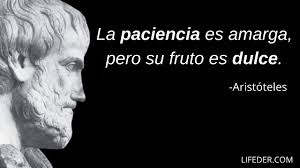 La democracia es es una manera de organización social que atribuye la titularidad del poder al conjunto de la ciudadanía. 100 Frases De Aristoteles Para Entender Sus Ideas Y Pensamiento