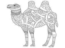 19 603 mandala animals imagenes y fotos 123rf coloriage nouveau ninjago