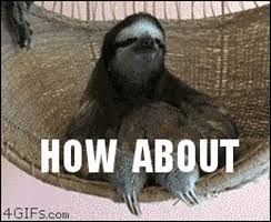 Gif bin is your daily source for funny gifs, reaction gifs and funny animated pictures! How About No Gifs Get The Best Gif On Giphy