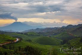 Earth's pain will cleanse the planet from. 8r2a4269 Terrasse Fields Backround Vulcano Nyirangongo Congo