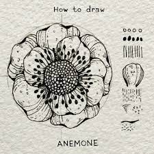 Alice on Instagram: "▫️How to draw / Anemone ▫️ . One flower and three  different way to draw and colour it, using the same guidelines 🖤 . In  order, you'll see:… |