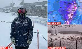 Whilst we understand some property owners may prefer this information be kept confidential, we are licensed to display this information from various third parties. Australia Braces For A Week Of Snow As Antarctic Polar Blast Takes Hold Check The Weather Near You Daily Mail Online