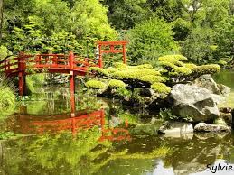 parc oriental de maulevrier maine et loire parc japonais ile de la tortue vacances en france