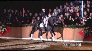 Renowned renaissance painter sandro botticelli was born alessandro di mariano filipepi. Schockemoehle Hengstkollektion 2014 Sandro Hit Deutsch Youtube