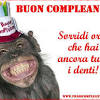 Auguri di buon compleanno amico mio. Https Encrypted Tbn0 Gstatic Com Images Q Tbn And9gcqgylfluc3hhypsy Xoimdq6qycuvt1epl8n1ni0sdj1sedl8uy Usqp Cau