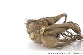 Setzen sie die wurzelknollen der dahlie 10 zentimeter tief in den boden und bedecken sie die triebspitzen circa einen zentimeter mit erde. Dahlien Pflanzen Abstand Und Wann Ist Der Beste Zeitpunkt Gartenlexikon De