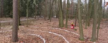 Unfallpravention Beim Baumfallen Landundforst De