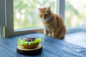 Cats that experience urinary tract problems. Pet Diet Can Cats Eat Lettuce Happypetsnow Com