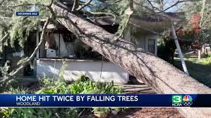 Woodland home hit twice by falling trees during storms