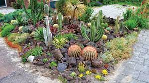lacase mu amenagement du jardin jardin un coin cactus dans votre jardin giardinaggio