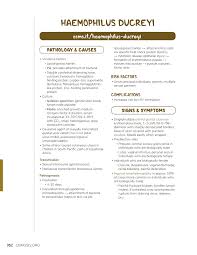 Image result for chancroid